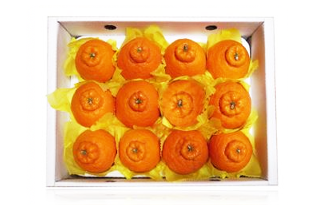 삼다명품 